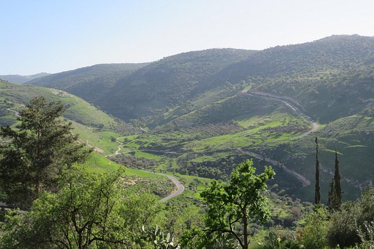 Tour image 5